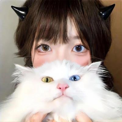 猎鹰飞过
